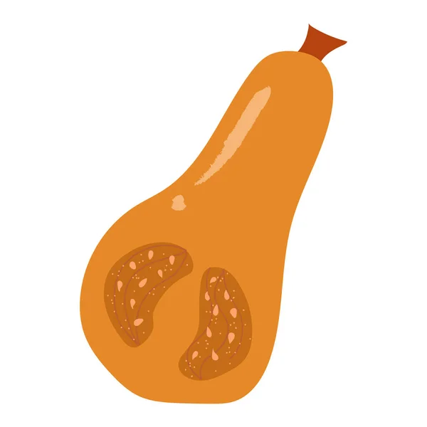 Naranja mitades calabaza, otoño decorative.Vector dibujado a mano ilustración de dibujos animados aislados — Archivo Imágenes Vectoriales