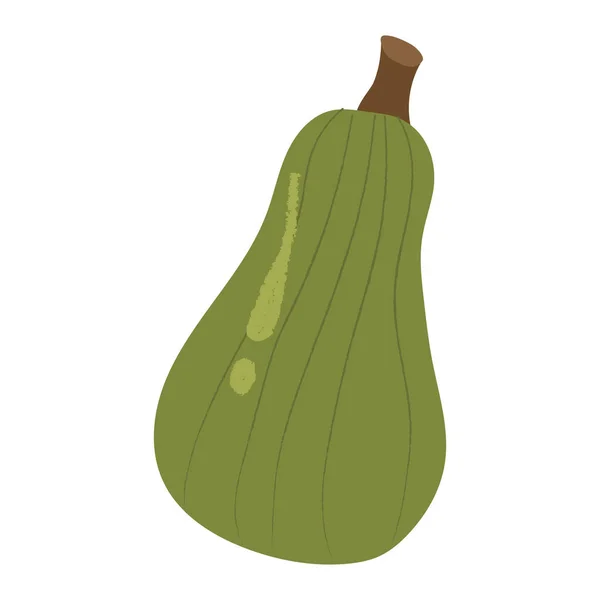 Calabaza entera verde, decorativo de otoño.Vector dibujado a mano — Archivo Imágenes Vectoriales