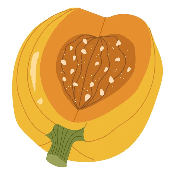 Yellow halves pumpkin, autumn decorative.Vector hand drawn — Stock Vector