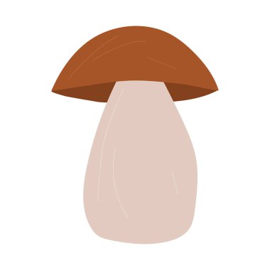 Boletus mantar vektör el çizimi karikatür çizimi izole