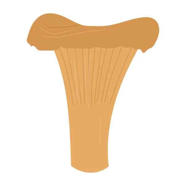 Cogumelo Chanterelle vetor desenhado à mão desenho animado ilustração isolado —  Vetores de Stock