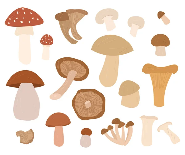 Cogumelos conjunto Vector mão desenhada desenho animado ilustração isolado —  Vetores de Stock