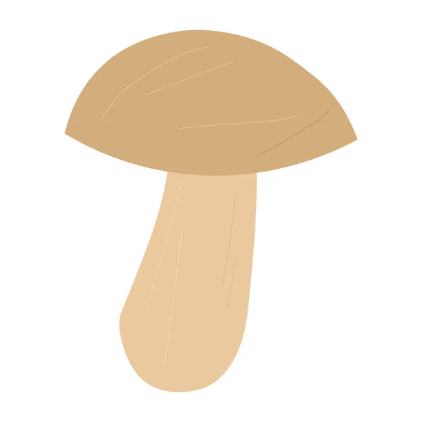 Porcini mushroom vector hand drawn cartoon illustration isolated — Stock Vector