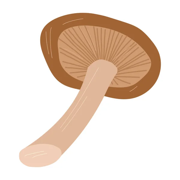 Shiitake fungo vettore disegnato a mano cartone animato illustrazione isolato — Vettoriale Stock
