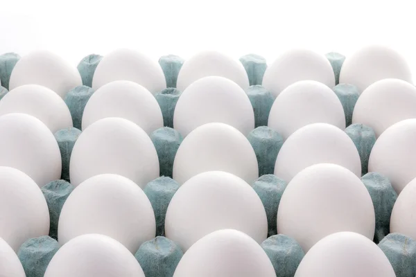 Egg packaging isolated on white background — Stock Photo, Image
