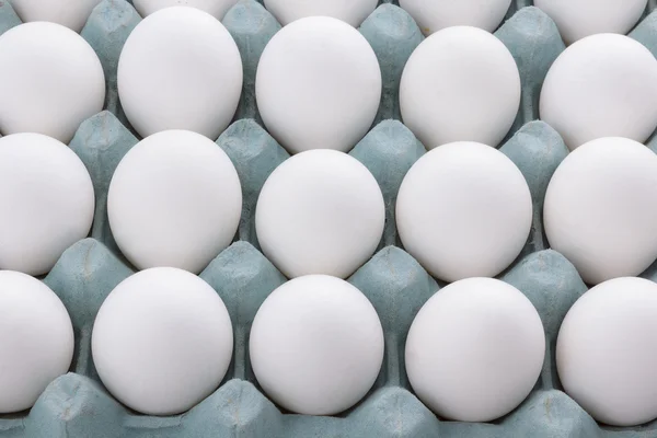 Egg packaging isolated on white background — Stock Photo, Image