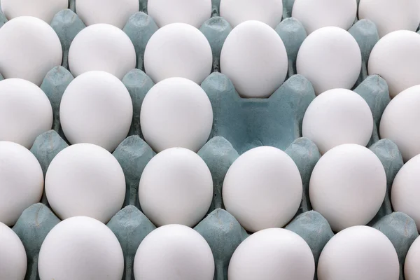 White Eggs in the packaging — Stock Photo, Image