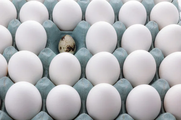 White Eggs in the packaging and quail egg — Stock Photo, Image