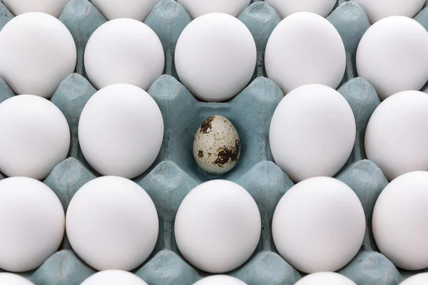 White Eggs in the packaging and quail egg — Stock Photo, Image