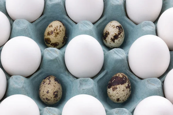 White Eggs in the packaging and quail egg — Stock Photo, Image