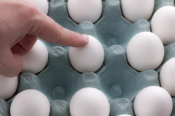 White Eggs in the packaging — Stock Photo, Image
