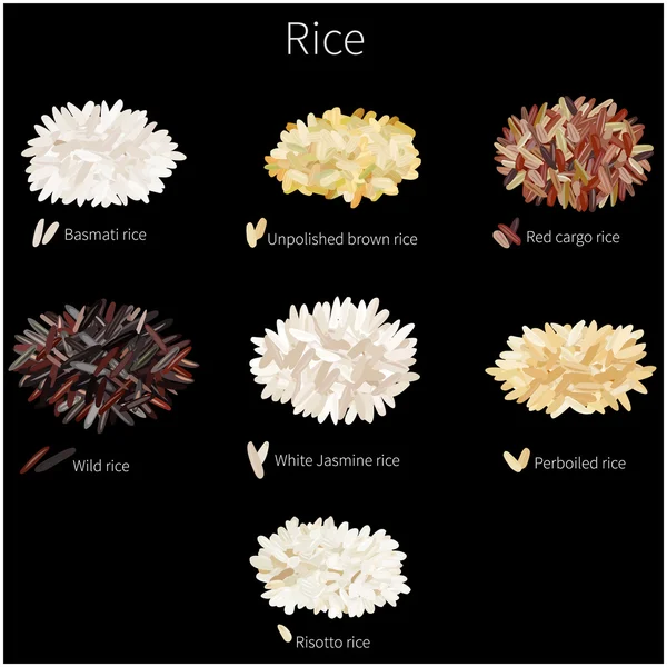 Distintas variedades de arroz — Vector de stock