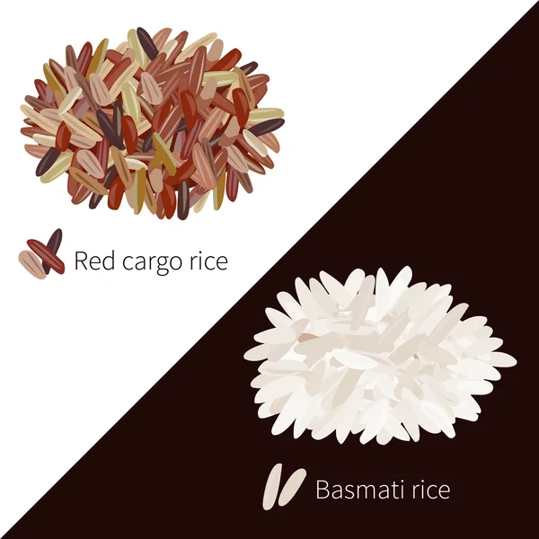 Два сорта риса — стоковый вектор