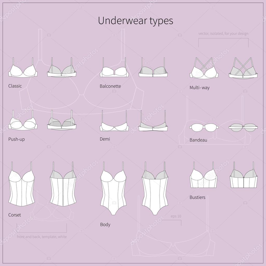 правильная форма бюстгальтера. типы женского нижнего белья. детали женских трусов. женские трусы типы. инфографика трусы.