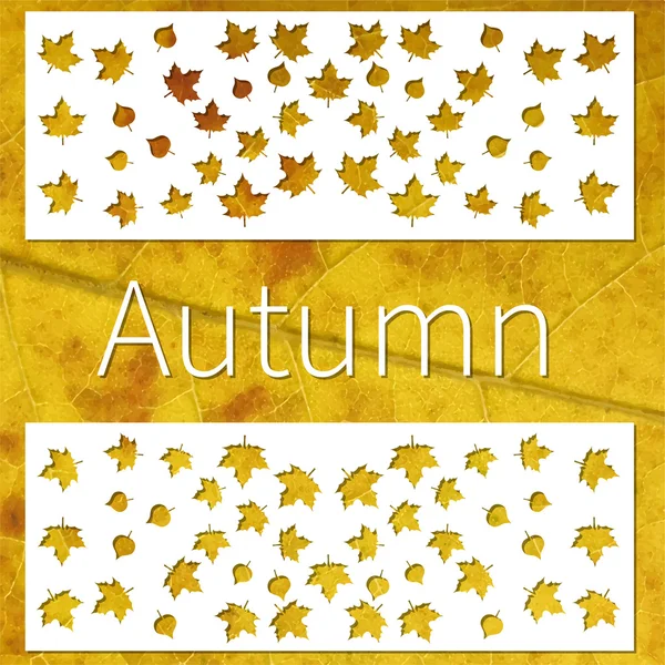 Giallo e bianco autunno sfondo — Vettoriale Stock