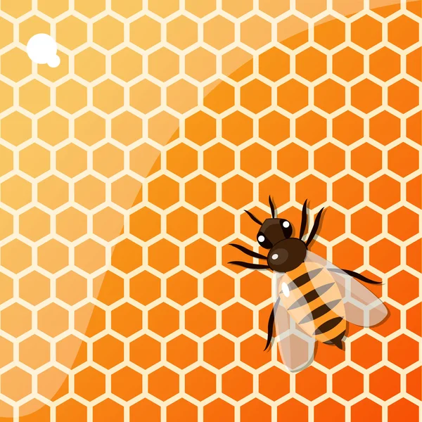 Abeja colorida en panal — Vector de stock