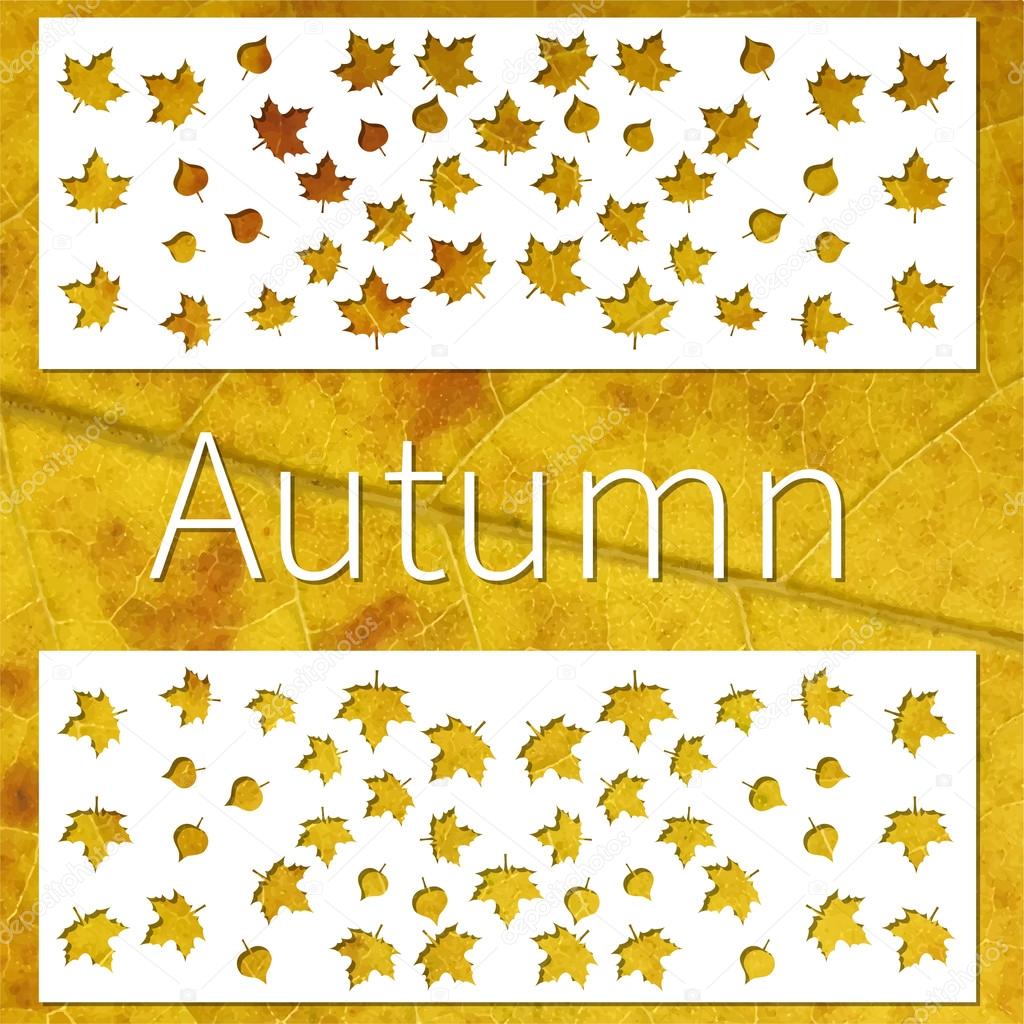 Yellow and white autumn background
