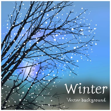 Gökyüzü ve siyah ağaçlar