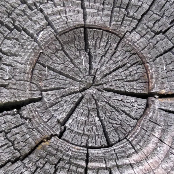 Grauer Baumstumpf mit Ringen — Stockvektor