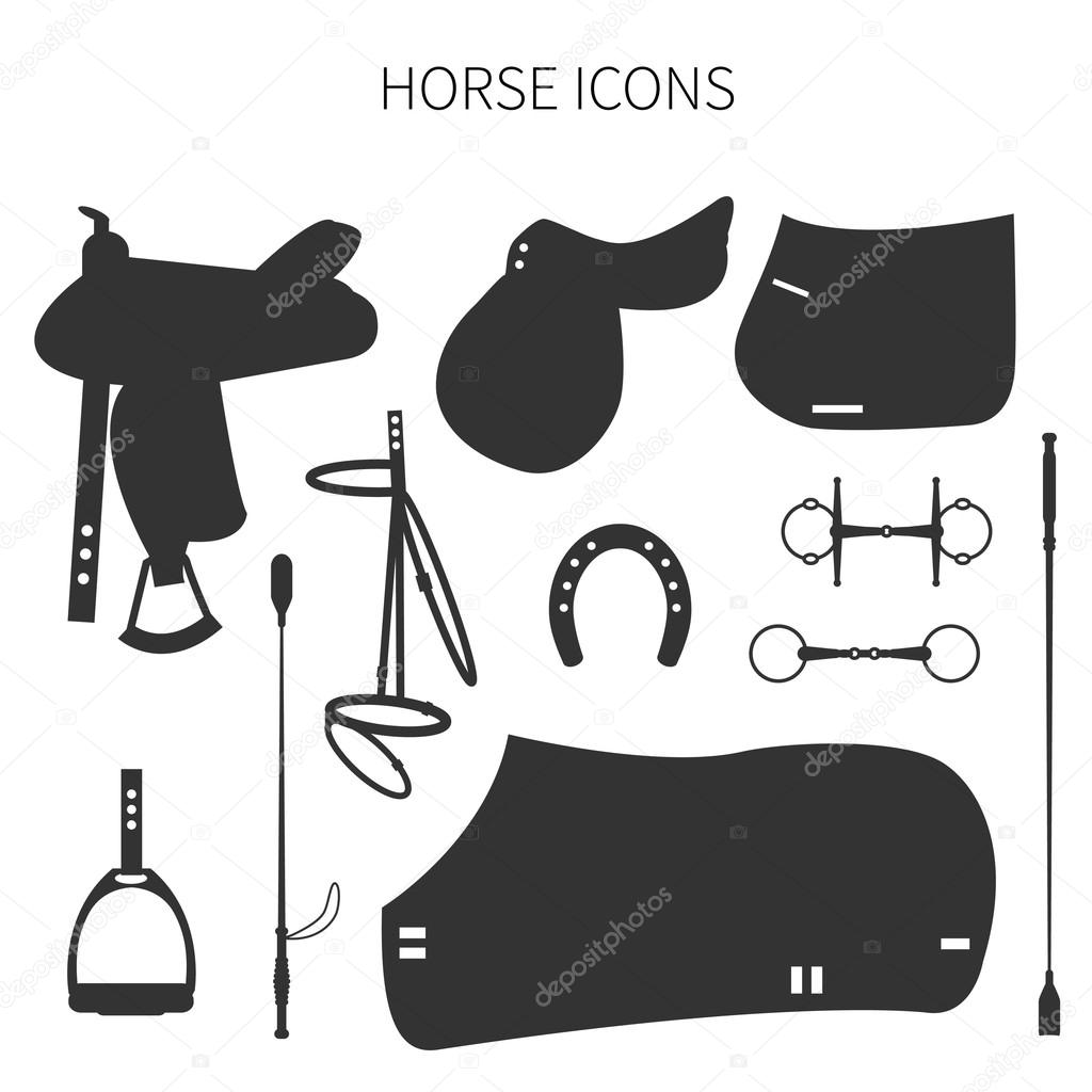 Set of different items for horses.