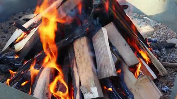 Lentamente quemando tablones de madera en el fuego. Cámara lenta, FullHD — Vídeo de stock