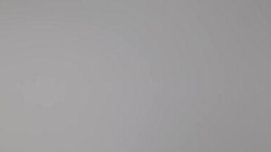 Beyaz eldivenli bir el, yuvarlanan 500 avroluk banknotları düzgünce masaya koyar.