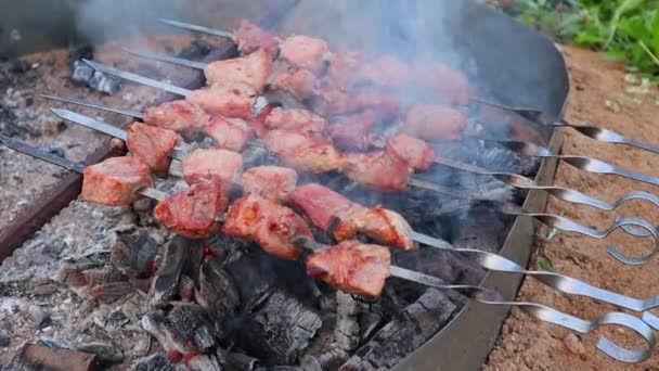 Stekta styckningsdelar av kött på metallspett kokas långsamt på glödande kol. — Stockvideo