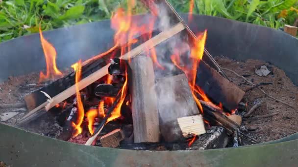 Collocare tavole di legno fresco in un fuoco che brucia lentamente. Rallentatore, FullHD — Video Stock
