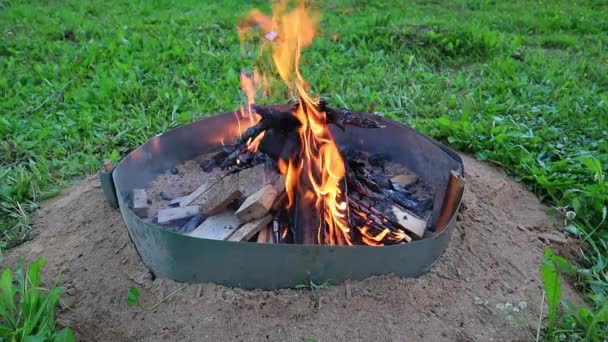 Langzame brandende houten planken in een kampvuur, op een achtergrond van groen gras. — Stockvideo