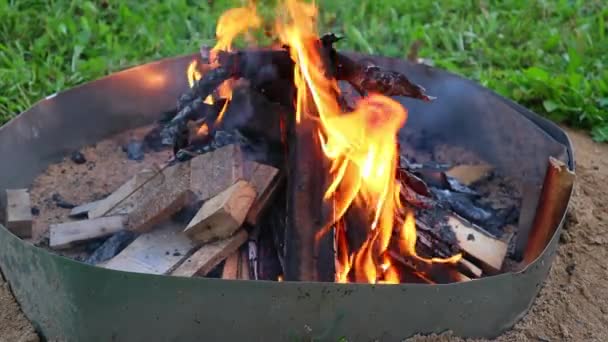 金属製のフェンスで閉鎖たき火の中でゆっくりと燃焼木製の板。スローモーション — ストック動画