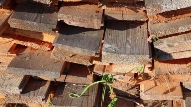 Saw wooden boards laid out on top of each other on the street