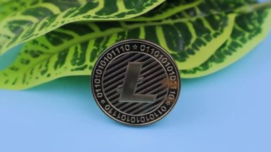 Beyaz eldivenli bir el kripto para alır.