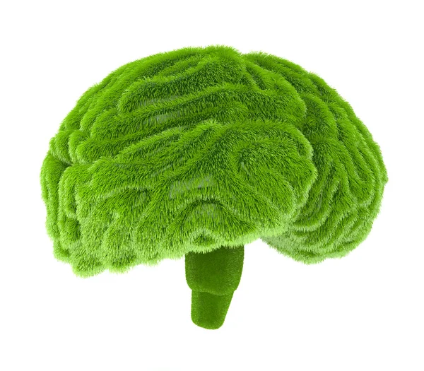 The human brain is covered with green grass. The metaphor of the — Stock Photo, Image