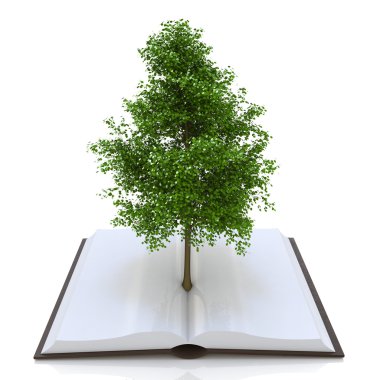 açık bir kitap, kavram geri dönüşüm alternatif büyüyen ağacı