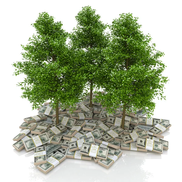 Kupie duże pieniądze. dolarów i drzewa. Finanse — Zdjęcie stockowe