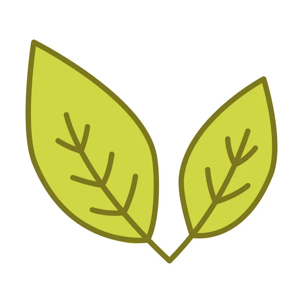 Значок Зеленых Листьев Растущее Растение Два Зелёных Листа Концепция Охраны — стоковый вектор