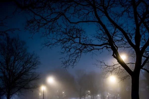 Street on a foggy night lighted up — Stock Photo, Image