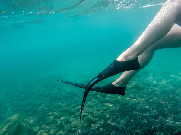 Pinne che si muovono attraverso l'acqua — Foto Stock