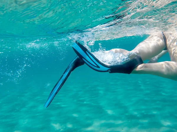 Flippers moving through water — Stock Photo, Image