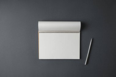 Metal kalem ve açık defter.