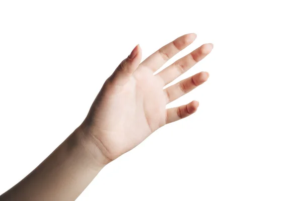 Mooie vrouwelijke hand nemen met een open palm. — Stockfoto