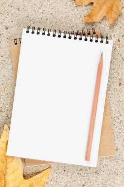 Masa üstü görünümünde kalemle birlikte defteri aç