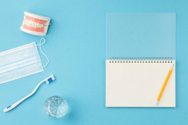 Diş fırçası ve not defteri olan çene modeli. Diş hekimi masası