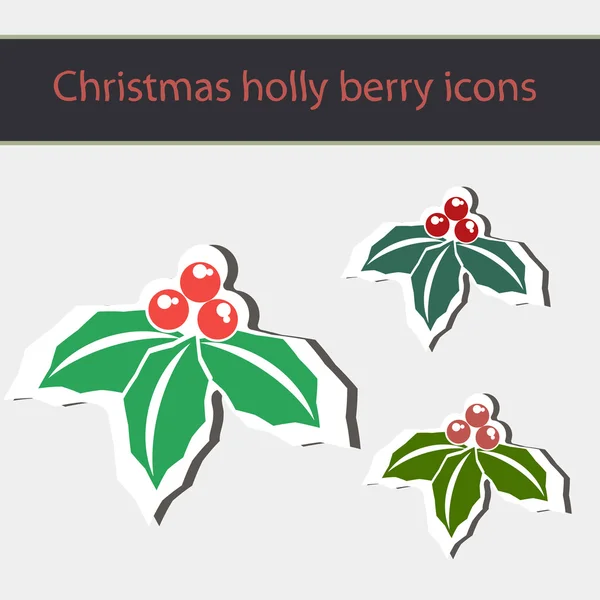 Το σύμβολο των Χριστουγέννων holly μούρο. — Διανυσματικό Αρχείο