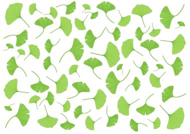 Beyaz arkaplandaki birçok taze yeşil yaprak ve desen