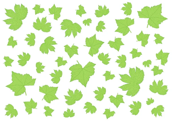 Viele Frische Grüne Blätter Und Muster Auf Weißem Hintergrund — Stockfoto
