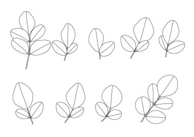 Çizgi tek yaprak ve yaprak deseni siyah beyaz arkaplan illüstrasyon vektörünü renklendirmek için getirir