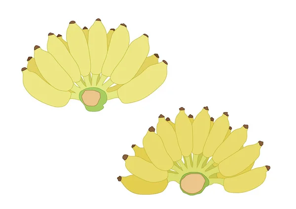 Sárga Banán Gyümölcs Érett Fehér Háttér Illusztráció Vektor — Stock Fotó