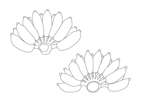 Γραμμή Φρούτα Μπανάνα Λευκό Φόντο Εικονογράφηση Διάνυσμα — Φωτογραφία Αρχείου