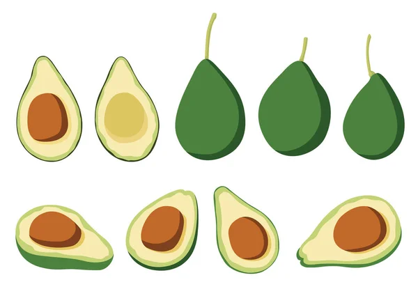 Avocadofrucht Und Halb Isoliert Auf Weißem Hintergrund Illustrationsvektor — Stockfoto